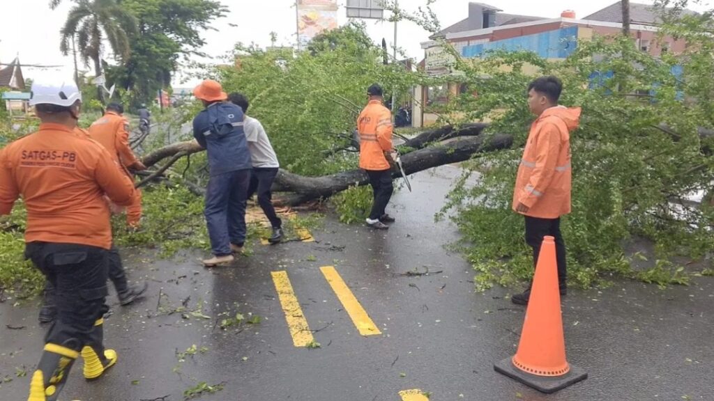 Pohon Tumbang di Kedaleman Cilegon, Tutup Akses Jalan Utama