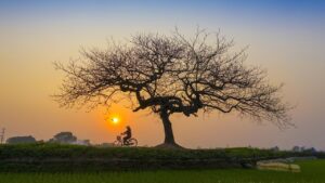 Kapan Buka Puasa di Daerahmu? Ini Jadwal Maghrib Se-Banten 2 Maret 2025