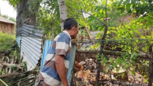 Rumah Kontrakan di Ciwandan Tertimpa Pohon Kelapa, Penghuni Alami Luka Parah di Kepala
