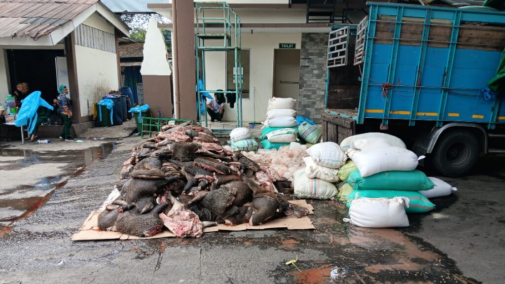 2,9 Ton Daging Celeng Ilegal Diamankan di Pelabuhan Merak, Tujuan Akhir Kalimantan